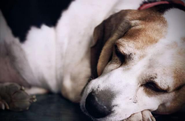 20221113181112_53949