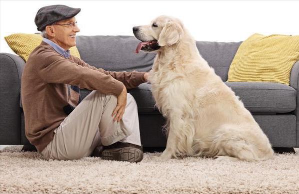 20221113181112_86129