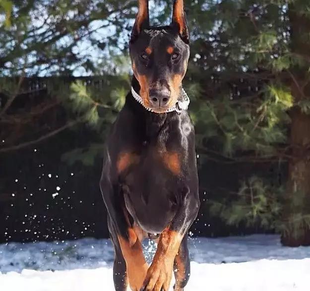 20221113181420_75574