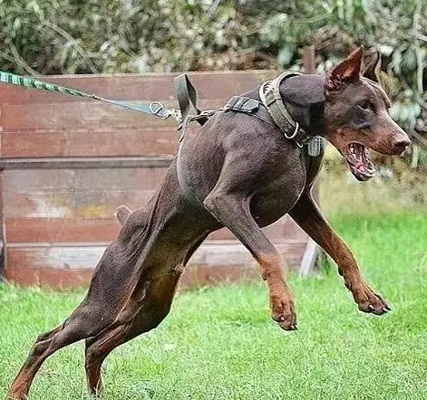 20221113181421_69405