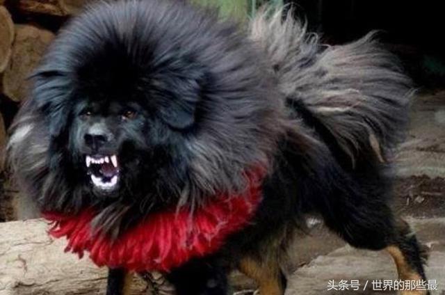 20221113182353_74861 20221113182353_74861