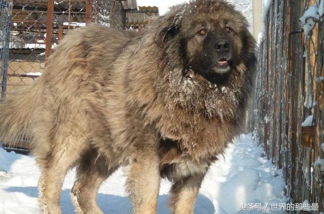 20221113182353_95772 20221113182353_95772