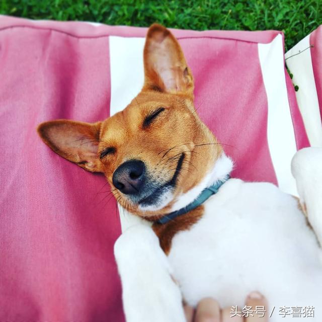 20221113184205_58391