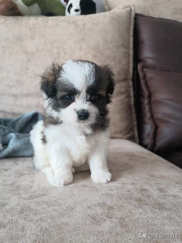 20221113184258_69761 20221113184258_69761