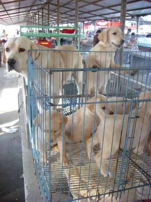 20221113184830_31987 20221113184830_31987