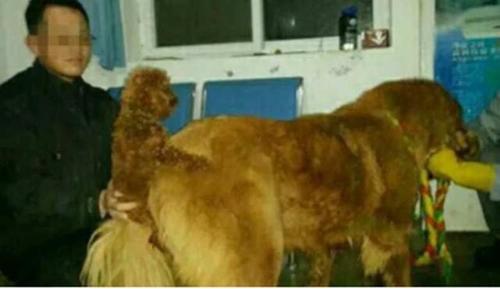 20221113185859_17198 20221113185859_17198