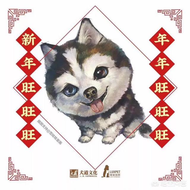 20221113193938_24322