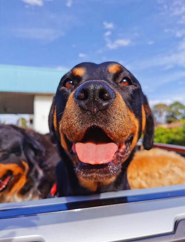 20221113194725_88839