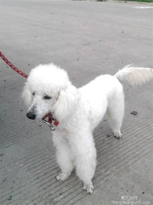 20221113195613_35402 20221113195613_35402