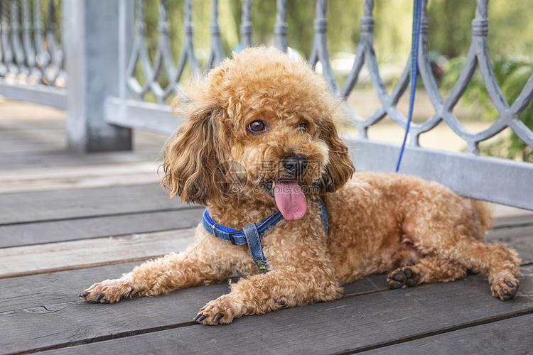 20221113195613_40859 20221113195613_40859