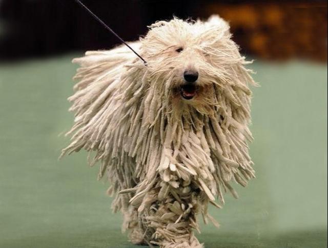 20221113201223_64283