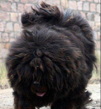 20221113201224_27105