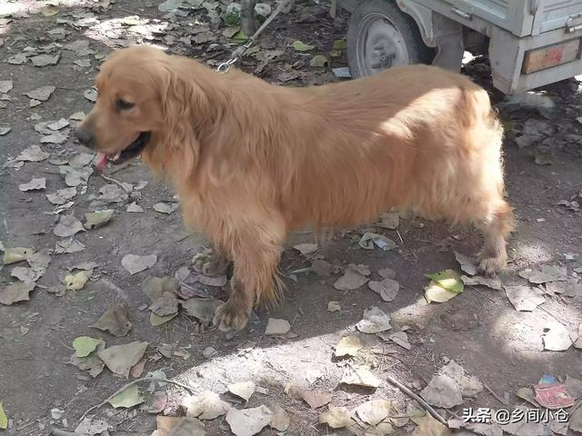 20221113201936_30488