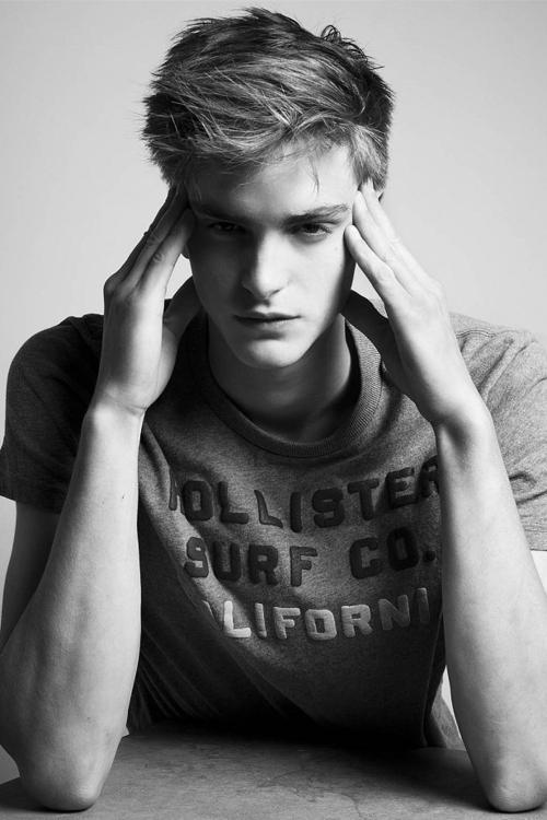 狗狗头发起静电，头发总起静电 - 警犬训练器材厂家 _警犬训练用品_工作犬训练用品-南京开久警犬装备-警犬训练器材厂家 _警犬训练用品_工作犬训练用品-南京开久警犬装备