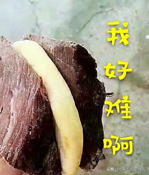 沈阳狗粮批发(沈阳力狼牌狗粮批发店 *** ) - 警犬训练器材厂家 _警犬训练用品_工作犬训练用品-南京开久警犬装备-警犬训练器材厂家 _警犬训练用品_工作犬训练用品-南京开久警犬装备