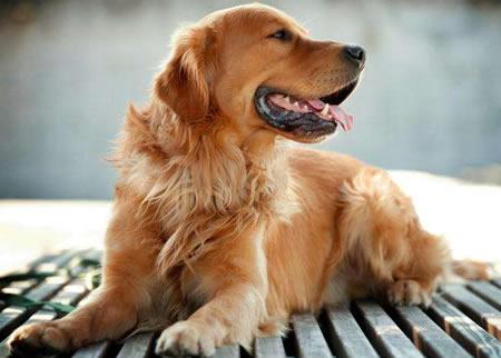 20221113203906_90798