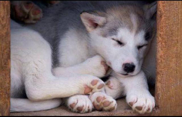 20221113204626_11949