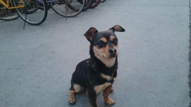 20221113204626_90152