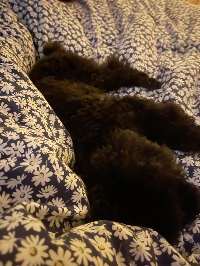 20221113205356_55126