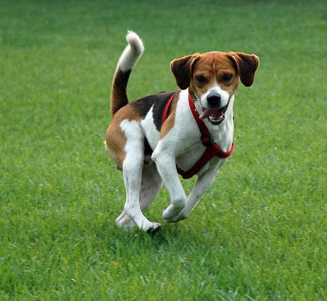 20221113210908_37940