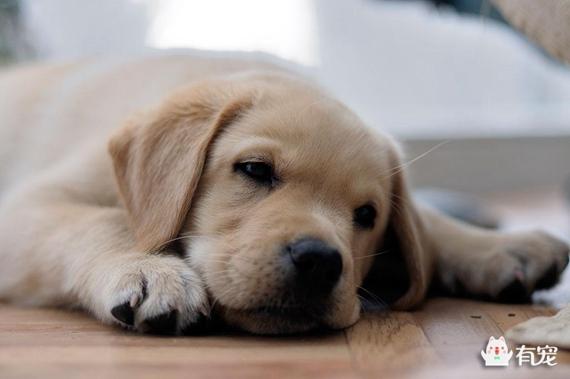 20221113213806_76866