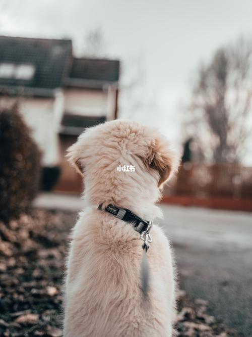 20221113215107_45658 20221113215107_45658