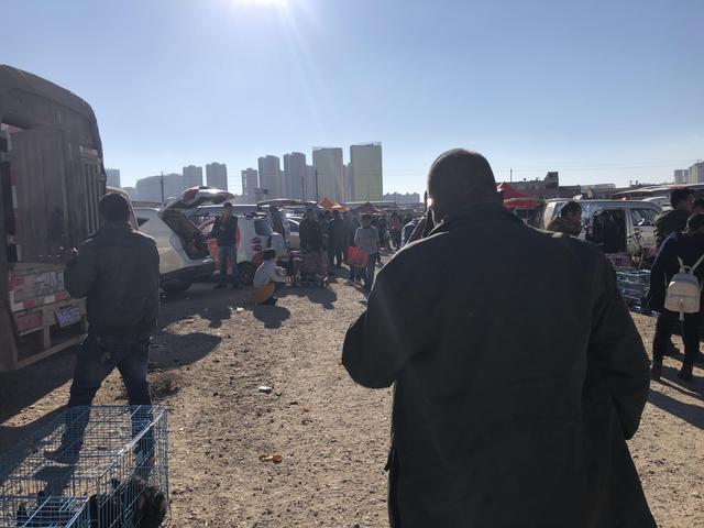 20221113215729_12120