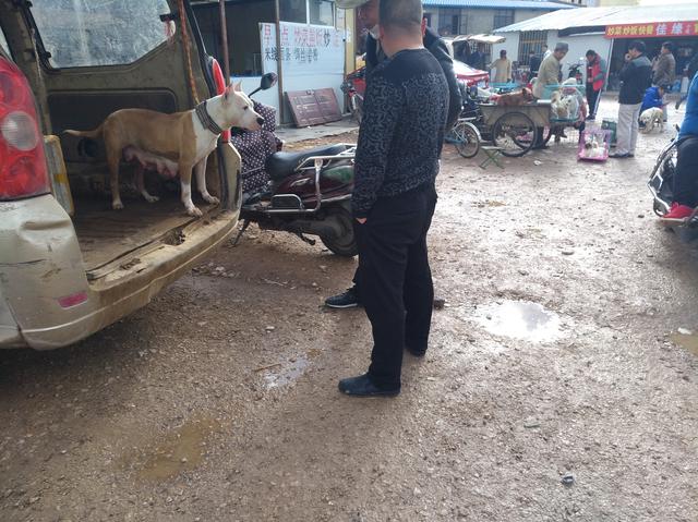 20221113215730_70999