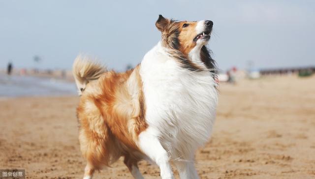 20221113221258_98278