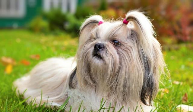 20221113221259_11692