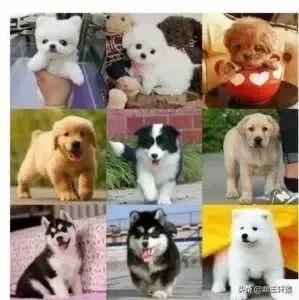 20221113222522_62985