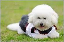 20221113222635_44705