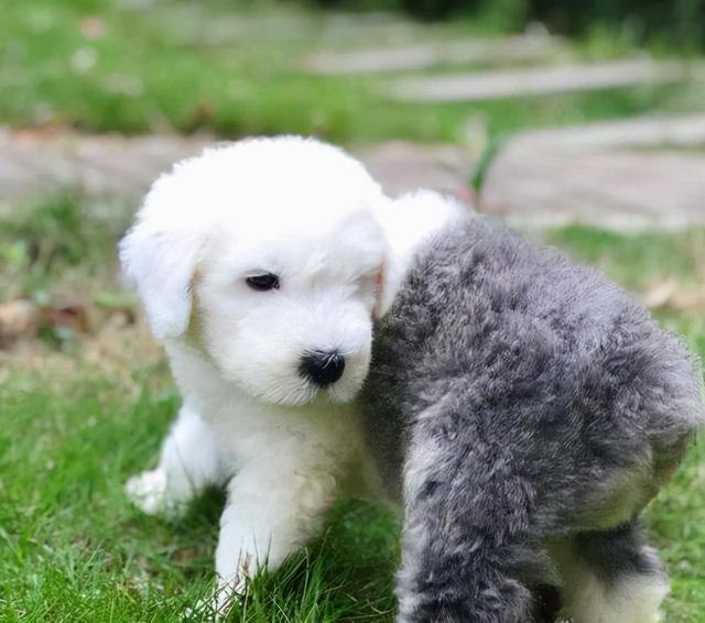 20221113223009_82831