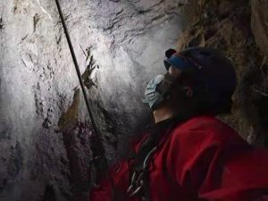 汪汪队 *** 狗狗甜甜是什么狗(汪汪队 *** 狗狗是第几集)-警犬训练器材厂家 _警犬训练用品_工作犬训练用品-南京开久警犬装备