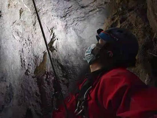 汪汪队 *** 狗狗甜甜是什么狗(汪汪队 *** 狗狗是第几集) - 警犬训练器材厂家 _警犬训练用品_工作犬训练用品-南京开久警犬装备-警犬训练器材厂家 _警犬训练用品_工作犬训练用品-南京开久警犬装备