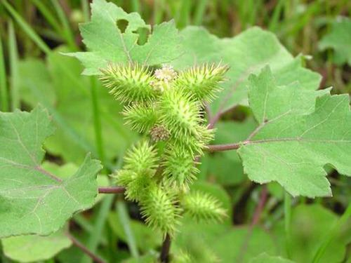 20221113225015_94722 20221113225015_94722