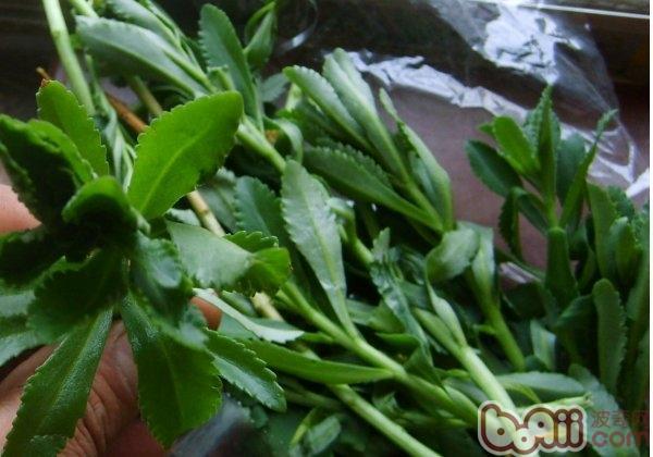 20221113225016_37437 20221113225016_37437