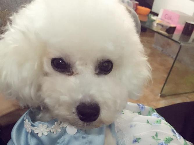 20221113230800_16007