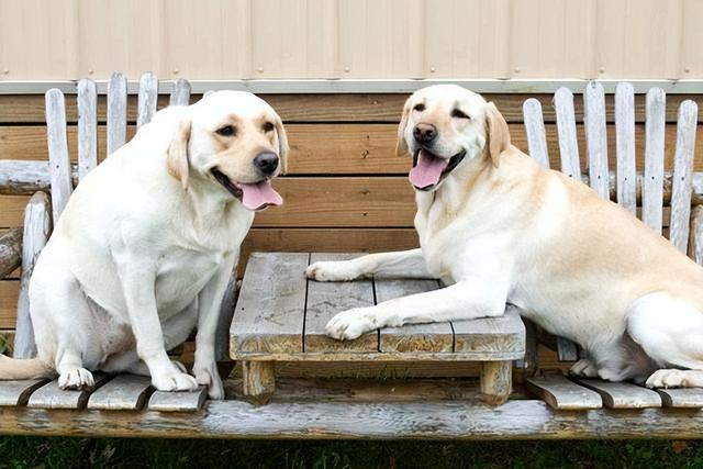 20221113230921_53968