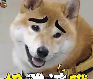 20221113231412_21457