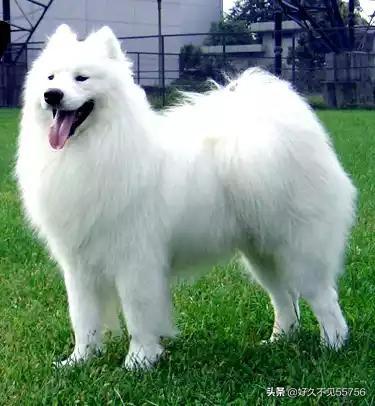 20221113232606_79237