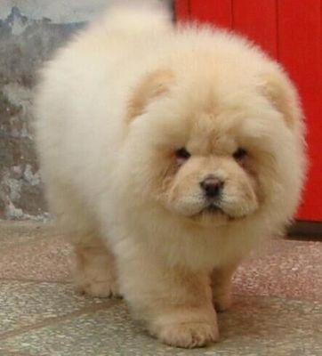 20221114085246_83918