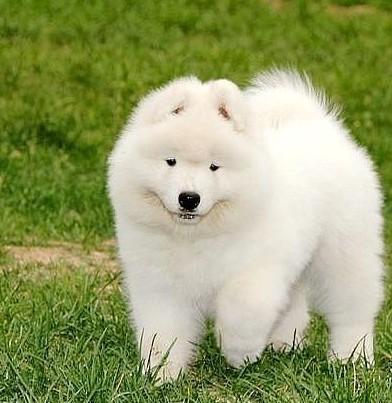 20221114085458_56021