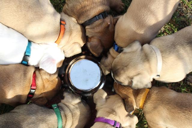 20221114103540_67935 20221114103540_67935