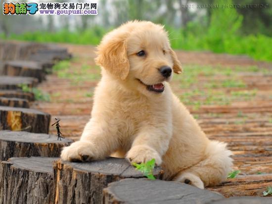 20221114104056_88490