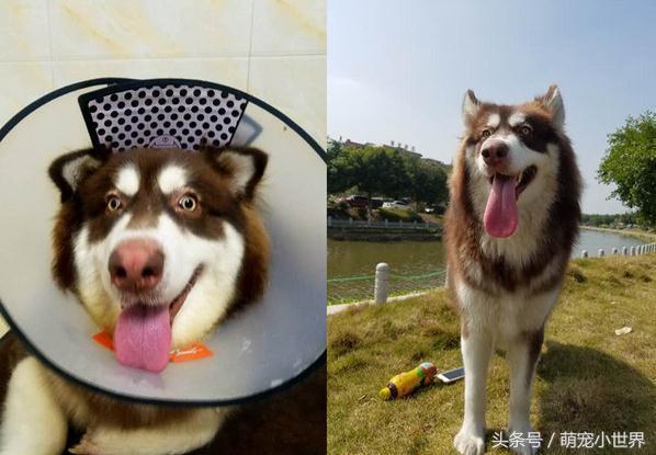 20221114104228_60678 20221114104228_60678