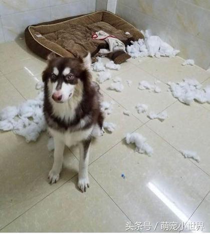 20221114104228_78640 20221114104228_78640