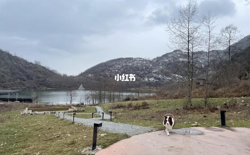 20221114111743_23155