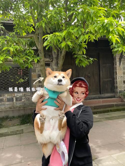 20221114111744_14941