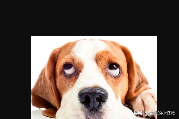 20221114112138_48504